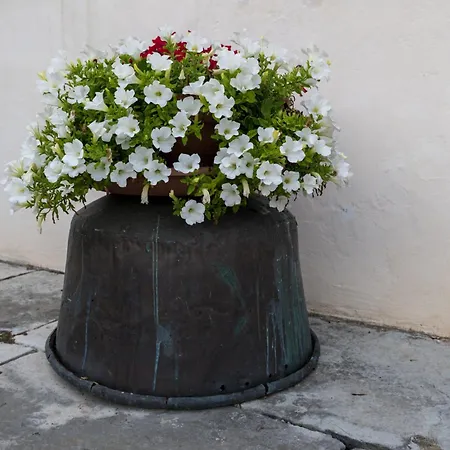 アパート Borgo Botol Gaiarine