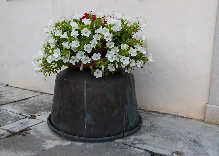 Lägenhet Borgo Botol Gaiarine